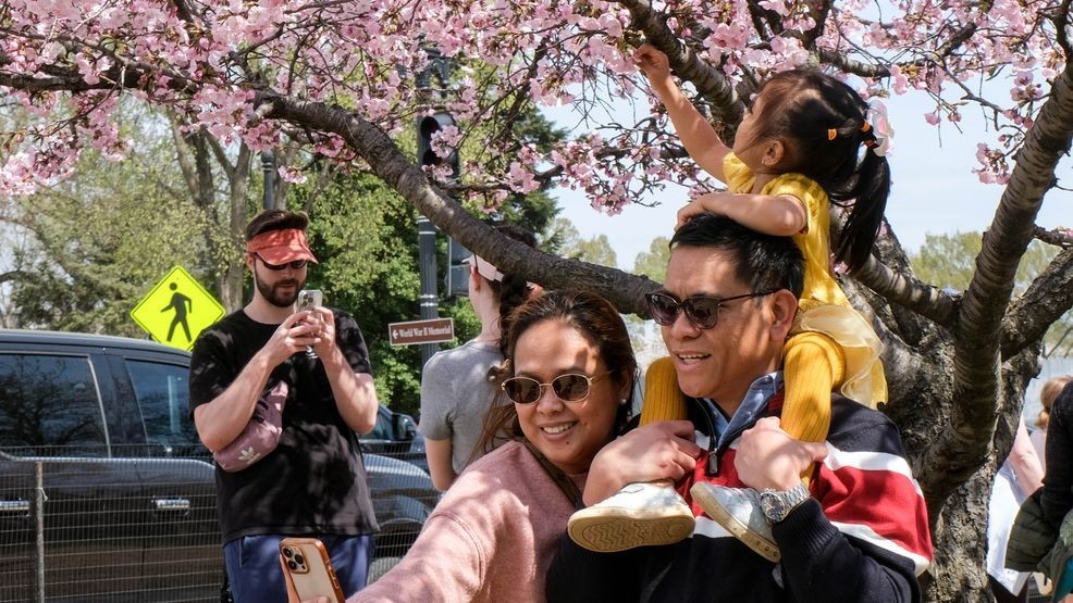 Image for story: PHOTOS | Thousands gather to witness the cherry blossoms around the DC Tidal Basin