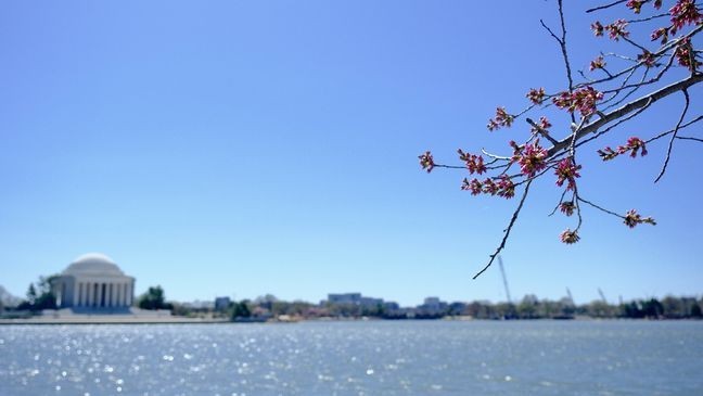 View All Photos