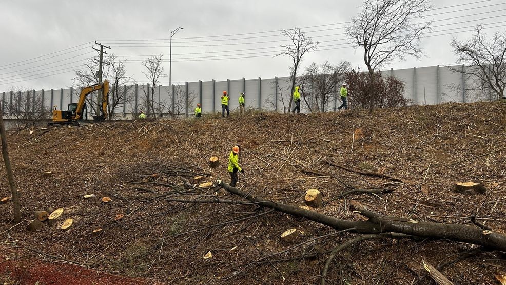 Image for story: Dominion Energy to reconsider cutting down thousands of trees along the W & OD trail 
