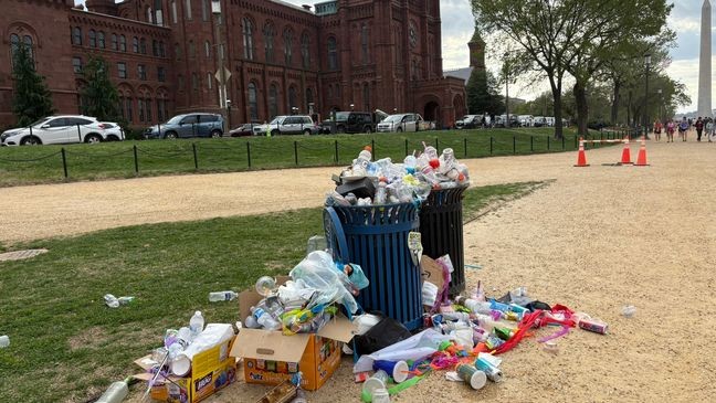 Trash piles on the National Mall after crowds pack DC for peak bloom in late March 2025. (Audrey Schaefer)