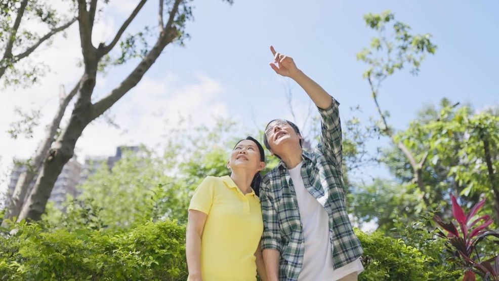 Image for story: 5 Dividend Aristocrats with sky-high yields above 5%