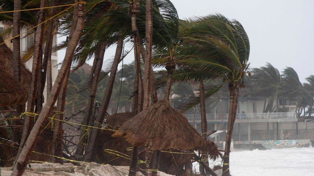 Palm trees are buffeted by the winds of Hurricane Zeta in Playa del Carmen, Mexico, early Tuesday, Oct. 27, 2020. Zeta is leaving Mexico’s Yucatan Peninsula on a path that could hit New Orleans Wednesday night. (AP Photo/Tomas Stargardter)