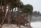 Image for story: First death from Zeta confirmed after man electrocuted by downed power lines