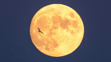 Image for story: GALLERY | Full Hunter's moon glows across the DMV