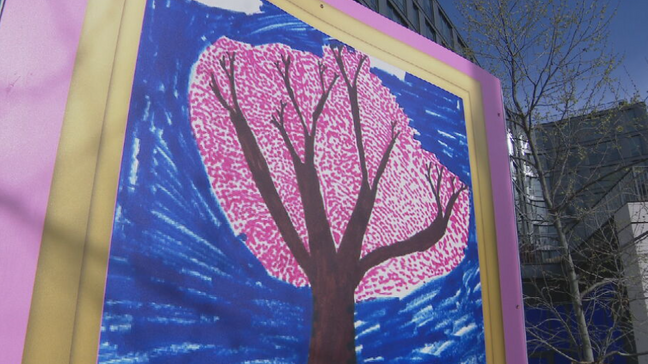 Cherry Blossom Festival's Petalpalooza (7News)