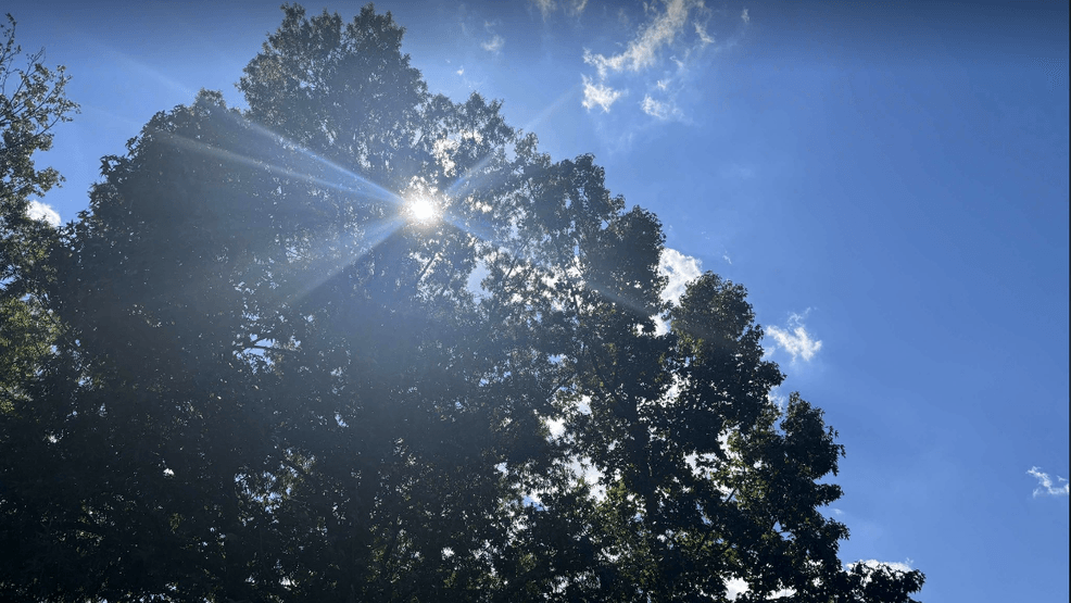 Image for story: DC Weather: Back to sunshine Sunday, but thunderstorms by Monday night
