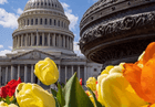 Image for story: DC Weather: Chilly start gives way to sunny Thursday as temps climb to the mid-60s