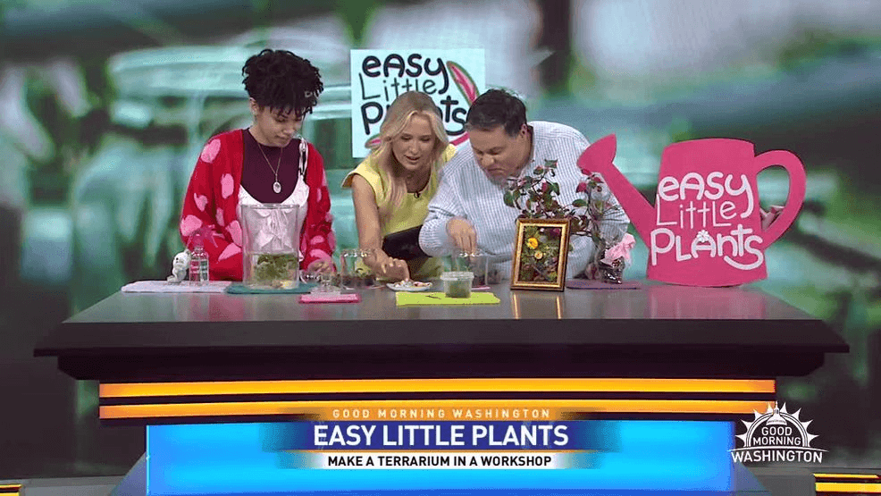 Image for story: Join a terrarium class and explore plant artistry with Easy Little Plants