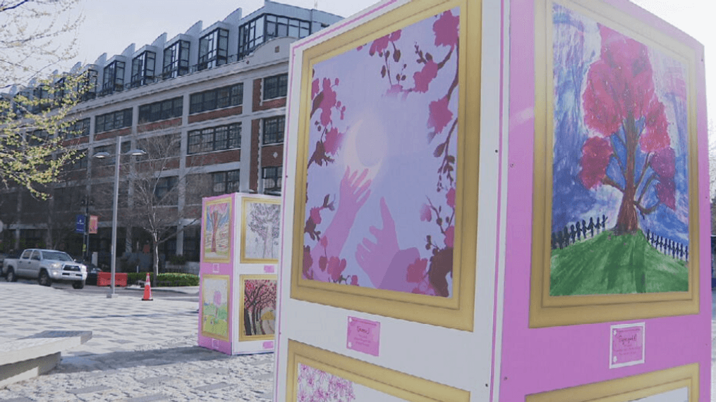 Cherry Blossom Festival's Petalpalooza (7News)
