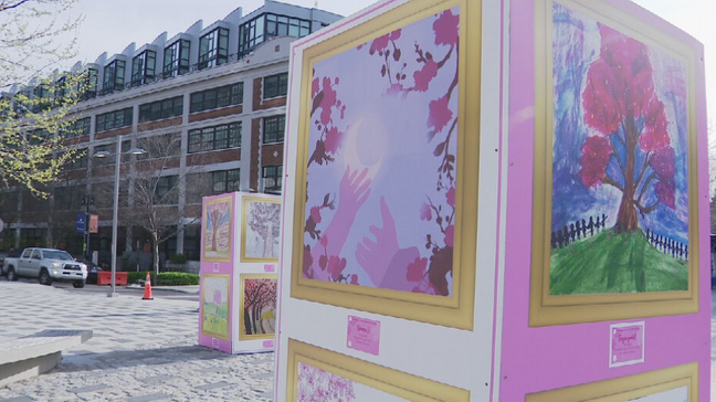 Cherry Blossom Festival's Petalpalooza (7News)