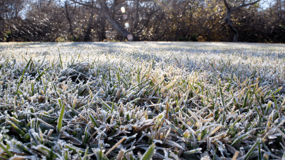 Image for story: FREEZE ALERT: Late-season cold snap Wednesday morning in the DMV. Here's the timeline